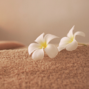 "Lomi Lomi massage cursus voor beginners - Leer Hawaiiaanse massage bij Sophie Brouwer"