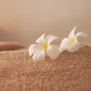 "Lomi Lomi massage cursus voor beginners - Leer Hawaiiaanse massage bij Sophie Brouwer"